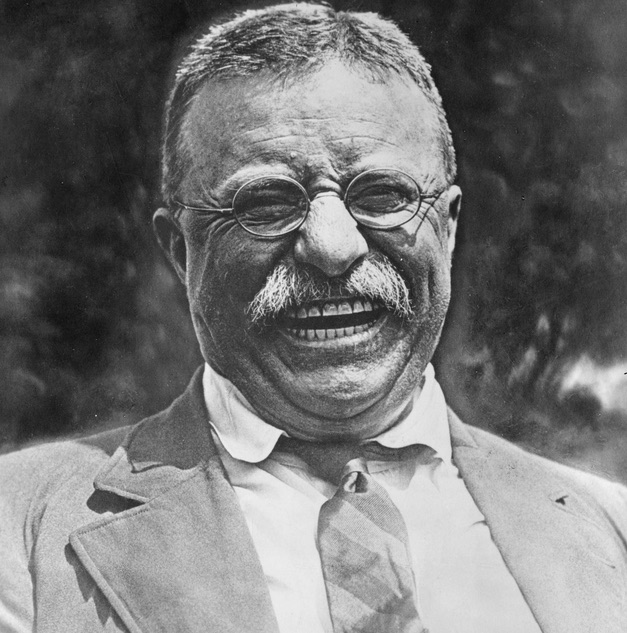 Teddy Roosevelt History Hustle image