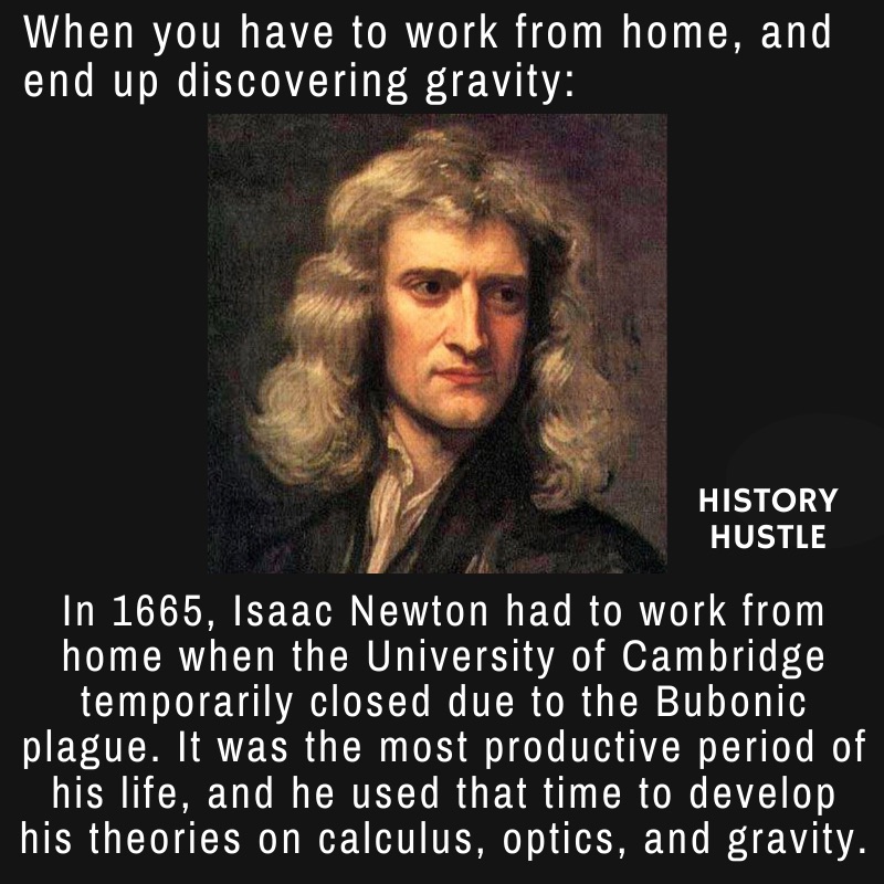 History Hustle Newton plague fact meme image